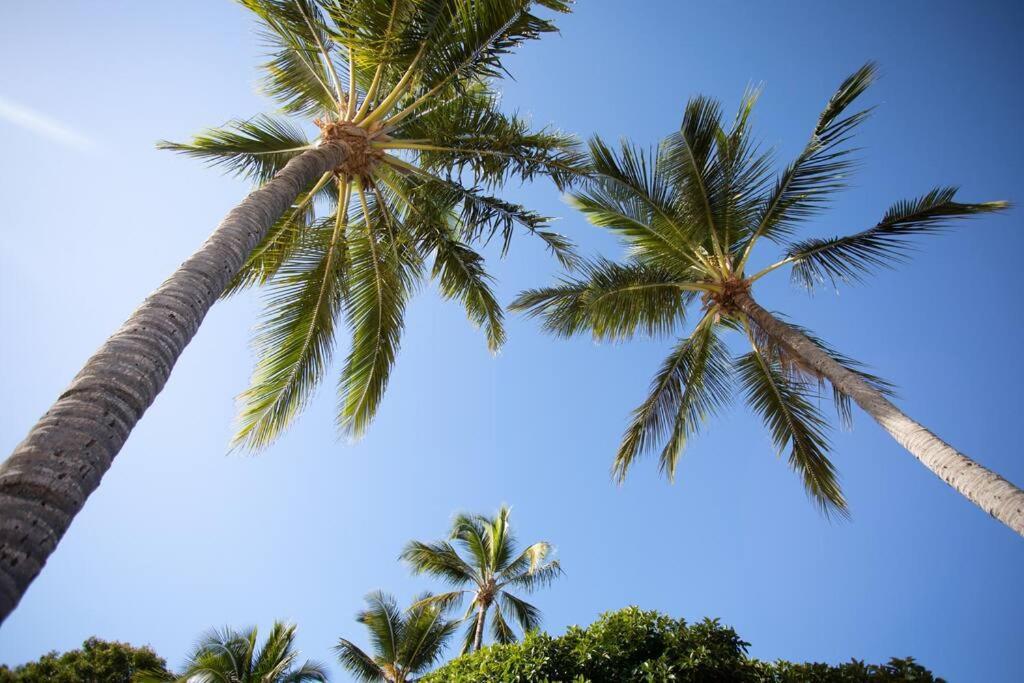 Airlie Sun & Sand Motel Accommodation #4 Эйрли-Бич Экстерьер фото